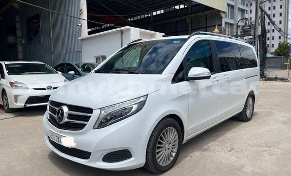 Buy Used Mercedes-Benz 250 White Car in Phnom Penh in Phnom Penh