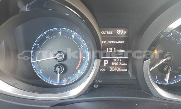 Buy Used Toyota Corolla Red Car in Phnom Penh in Phnom Penh Buy Used Toyota Corolla Red Car in Phnom Penh in Phnom Penh