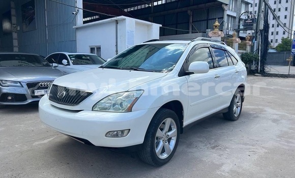 Buy Used Lexus RX 330 White Car in Phnom Penh in Phnom Penh Buy Used Lexus RX 330 White Car in Phnom Penh in Phnom Penh