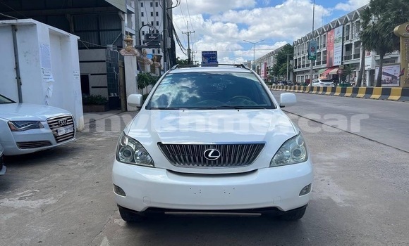 Buy Used Lexus RX 330 White Car in Phnom Penh in Phnom Penh Buy Used Lexus RX 330 White Car in Phnom Penh in Phnom Penh