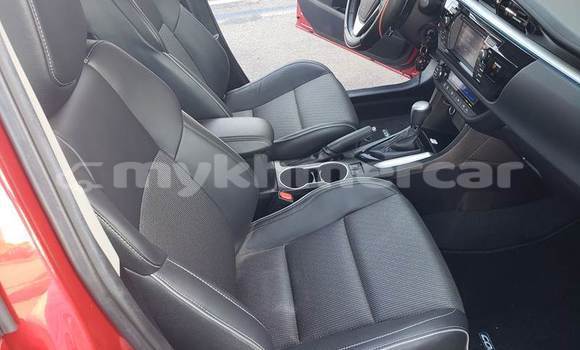 Buy Used Toyota Corolla Red Car in Phnom Penh in Phnom Penh Buy Used Toyota Corolla Red Car in Phnom Penh in Phnom Penh