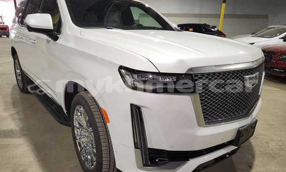 Buy New Cadillac Escalade White Car in Banlung in Ratanakiri Province