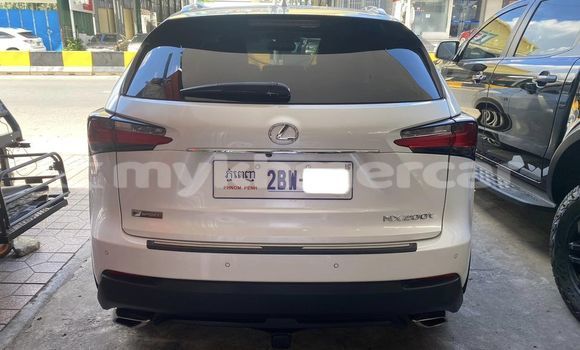 Buy Used Lexus NX White Car in Phnom Penh in Phnom Penh Buy Used Lexus NX White Car in Phnom Penh in Phnom Penh