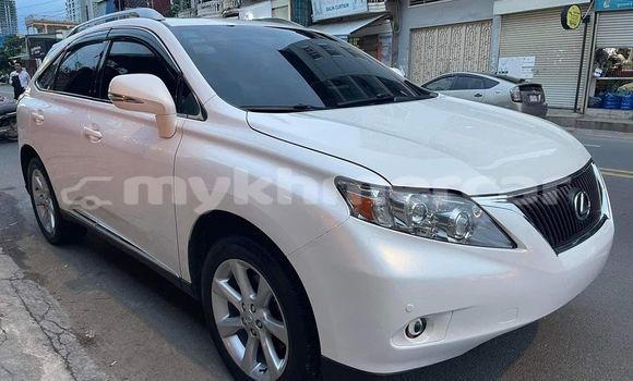 Buy Used Lexus RX 350 White Car in Phnom Penh in Phnom Penh Buy Used Lexus RX 350 White Car in Phnom Penh in Phnom Penh