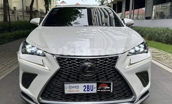 Buy Used Lexus NX White Car in Phnom Penh in Phnom Penh Buy Used Lexus NX White Car in Phnom Penh in Phnom Penh