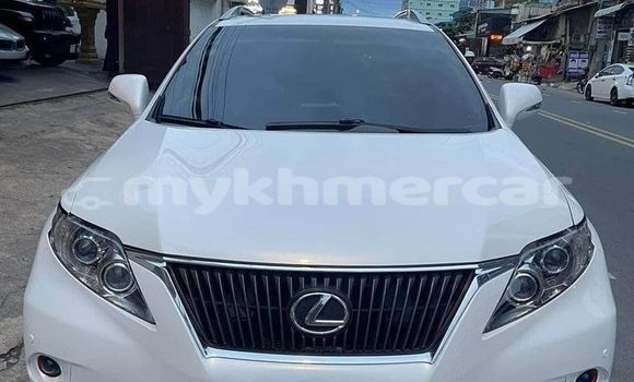 Buy Used Lexus RX 350 White Car in Phnom Penh in Phnom Penh Buy Used Lexus RX 350 White Car in Phnom Penh in Phnom Penh