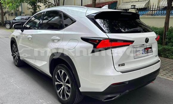 Buy Used Lexus NX White Car in Phnom Penh in Phnom Penh Buy Used Lexus NX White Car in Phnom Penh in Phnom Penh