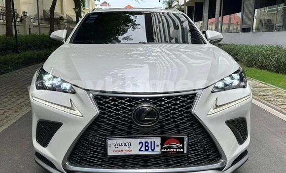 Buy Used Lexus NX White Car in Phnom Penh in Phnom Penh Buy Used Lexus NX White Car in Phnom Penh in Phnom Penh
