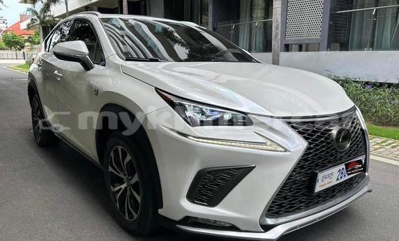 Buy Used Lexus NX White Car in Phnom Penh in Phnom Penh Buy Used Lexus NX White Car in Phnom Penh in Phnom Penh