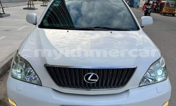 Buy Used Lexus RX 330 White Car in Phnom Penh in Phnom Penh Buy Used Lexus RX 330 White Car in Phnom Penh in Phnom Penh