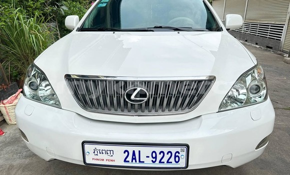 Buy Used Lexus RX 330 White Car in Phnom Penh in Phnom Penh Buy Used Lexus RX 330 White Car in Phnom Penh in Phnom Penh