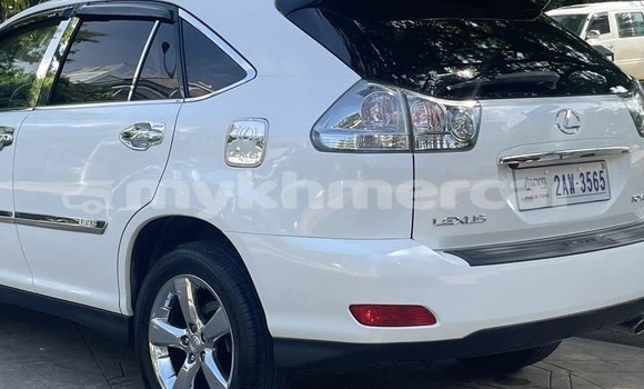 Buy Used Lexus RX 330 White Car in Phnom Penh in Phnom Penh Buy Used Lexus RX 330 White Car in Phnom Penh in Phnom Penh