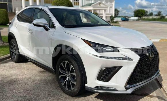 ទិញ បានប្រើ Lexus NX White ឡាន} ក្នុង Dăm Thnăm ក្នុង Kampot Province ទិញ បានប្រើ Lexus NX White ឡាន} ក្នុង Dăm Thnăm ក្នុង Kampot Province