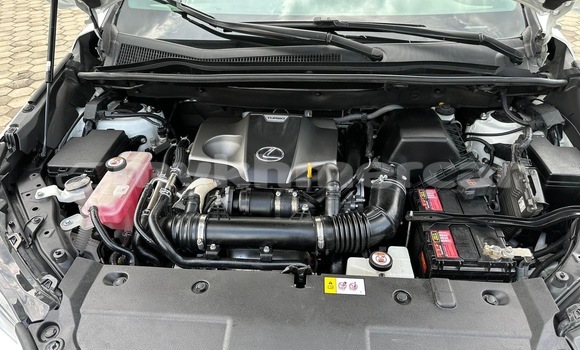 Buy Used Lexus NX White Car in Phnom Penh in Phnom Penh Buy Used Lexus NX White Car in Phnom Penh in Phnom Penh