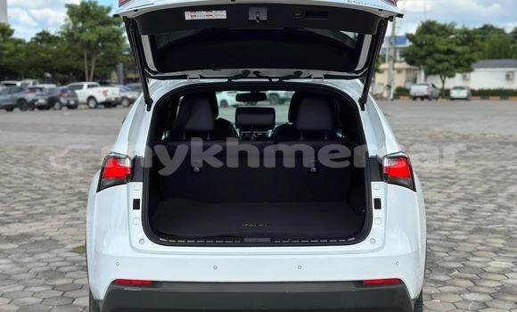 Buy Used Lexus NX White Car in Phnom Penh in Phnom Penh Buy Used Lexus NX White Car in Phnom Penh in Phnom Penh