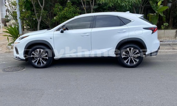 Buy Used Lexus NX White Car in Phnom Penh in Phnom Penh Buy Used Lexus NX White Car in Phnom Penh in Phnom Penh