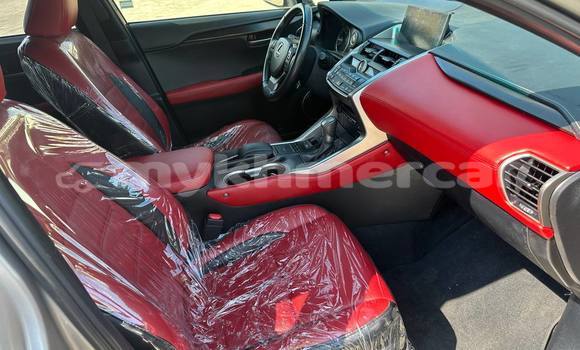 Buy Used Lexus NX Other Car in Phnom Penh in Phnom Penh Buy Used Lexus NX Other Car in Phnom Penh in Phnom Penh