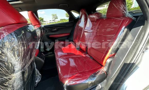 Buy Used Lexus NX Other Car in Phnom Penh in Phnom Penh Buy Used Lexus NX Other Car in Phnom Penh in Phnom Penh