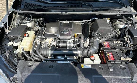 Buy Used Lexus NX Other Car in Phnom Penh in Phnom Penh Buy Used Lexus NX Other Car in Phnom Penh in Phnom Penh