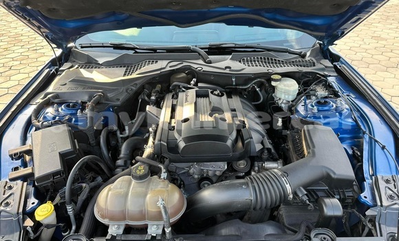 Buy Used Ford Mustang Blue Car in Phnom Penh in Phnom Penh Buy Used Ford Mustang Blue Car in Phnom Penh in Phnom Penh