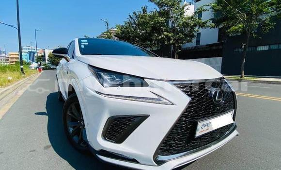 Buy Used Lexus NX White Car in Bavet in Svay Rieng Province Buy Used Lexus NX White Car in Bavet in Svay Rieng Province