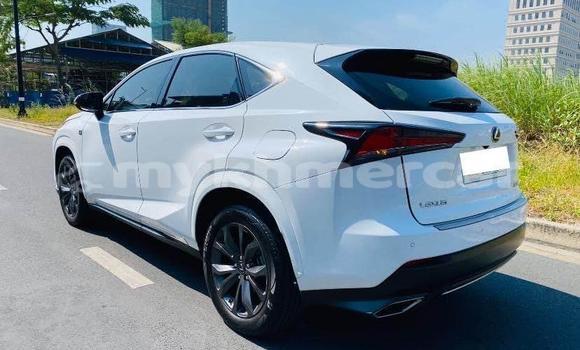 Buy Used Lexus NX White Car in Bavet in Svay Rieng Province Buy Used Lexus NX White Car in Bavet in Svay Rieng Province