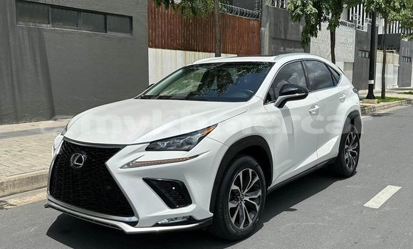 Buy Used Lexus NX White Car in Chbar Mon in Kampong Speu Province Buy Used Lexus NX White Car in Chbar Mon in Kampong Speu Province