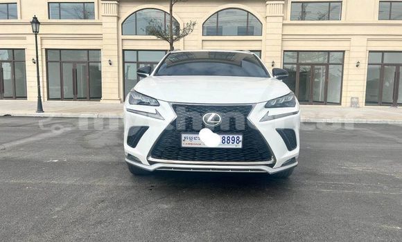 ទិញ បានប្រើ Lexus NX Other ឡាន} ក្នុង Phnom Penh ក្នុង Phnom Penh ទិញ បានប្រើ Lexus NX Other ឡាន} ក្នុង Phnom Penh ក្នុង Phnom Penh