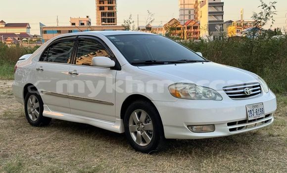 Buy Used Toyota Corolla White Car in Chbar Mon in Kampong Speu Province Buy Used Toyota Corolla White Car in Chbar Mon in Kampong Speu Province