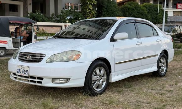 Buy Used Toyota Corolla White Car in Chbar Mon in Kampong Speu Province Buy Used Toyota Corolla White Car in Chbar Mon in Kampong Speu Province
