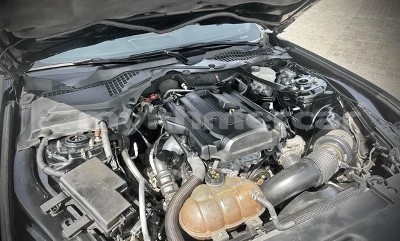 Buy Used FORD MUSTANG Black Car in Phnom Penh in Phnom Penh Buy Used FORD MUSTANG Black Car in Phnom Penh in Phnom Penh