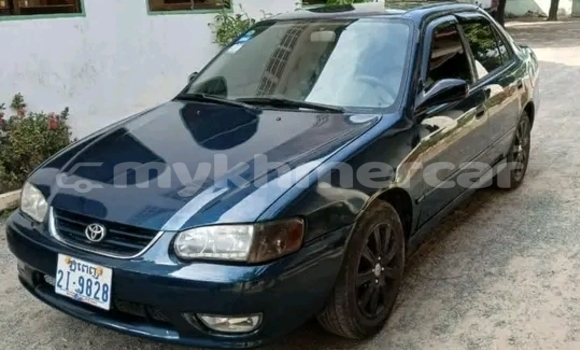 Buy Used Kia Carnival Black Car in Kep in Kep Province Buy Used Kia Carnival Black Car in Kep in Kep Province