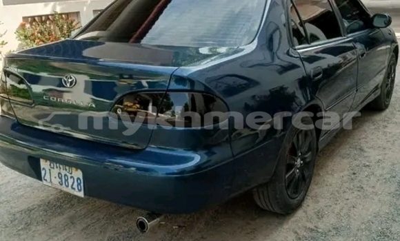 Buy Used Kia Carnival Black Car in Kep in Kep Province Buy Used Kia Carnival Black Car in Kep in Kep Province