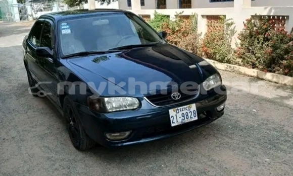 Buy Used Kia Carnival Black Car in Kep in Kep Province Buy Used Kia Carnival Black Car in Kep in Kep Province