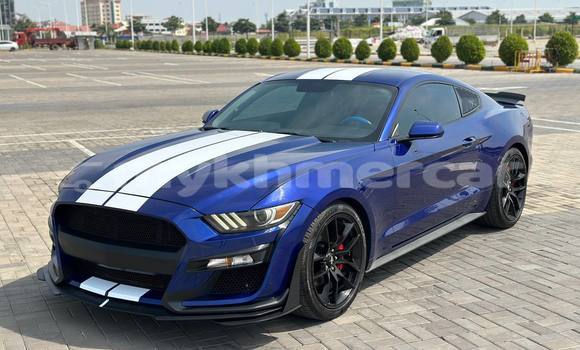 Buy Used FORD MUSTANG Blue Car in Phnom Penh in Phnom Penh Buy Used FORD MUSTANG Blue Car in Phnom Penh in Phnom Penh