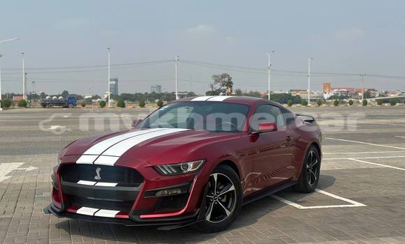 Buy Used Ford Mustang Red Car in Phnom Penh in Phnom Penh Buy Used Ford Mustang Red Car in Phnom Penh in Phnom Penh