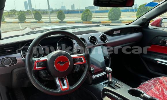 Buy Used Ford Mustang Red Car in Phnom Penh in Phnom Penh Buy Used Ford Mustang Red Car in Phnom Penh in Phnom Penh