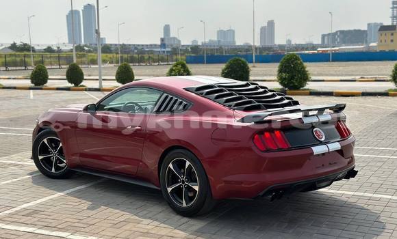 Buy Used Ford Mustang Red Car in Phnom Penh in Phnom Penh Buy Used Ford Mustang Red Car in Phnom Penh in Phnom Penh