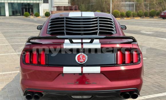 Buy Used Ford Mustang Red Car in Phnom Penh in Phnom Penh Buy Used Ford Mustang Red Car in Phnom Penh in Phnom Penh