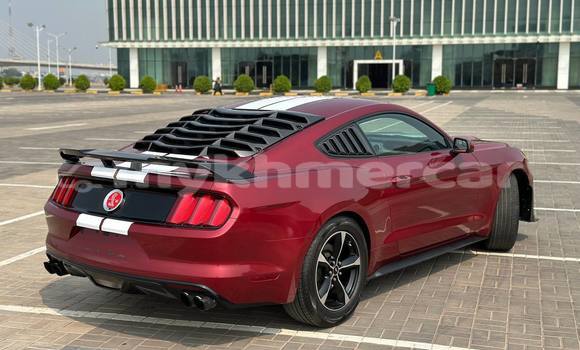 Buy Used Ford Mustang Red Car in Phnom Penh in Phnom Penh Buy Used Ford Mustang Red Car in Phnom Penh in Phnom Penh