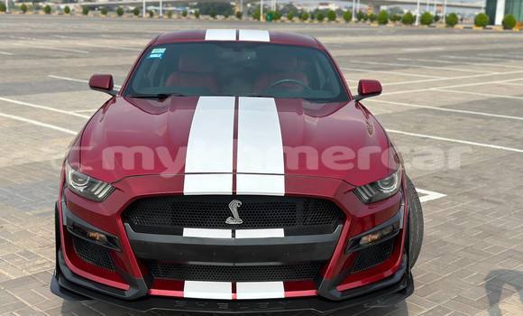 Buy Used Ford Mustang Red Car in Phnom Penh in Phnom Penh Buy Used Ford Mustang Red Car in Phnom Penh in Phnom Penh