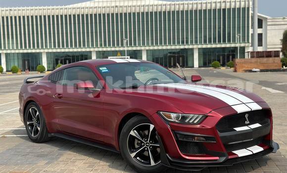 Buy Used Ford Mustang Red Car in Phnom Penh in Phnom Penh Buy Used Ford Mustang Red Car in Phnom Penh in Phnom Penh