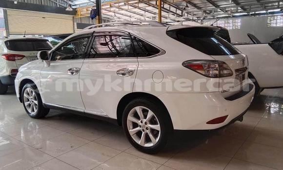 Buy Used Lexus RX 300 White Car in Amleang in Kampong Speu Province Buy Used Lexus RX 300 White Car in Amleang in Kampong Speu Province