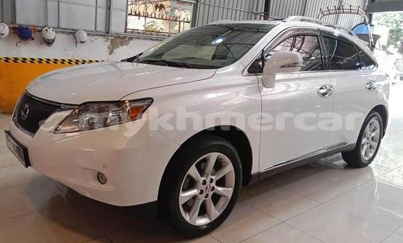 Buy Used Lexus RX 300 White Car in Amleang in Kampong Speu Province Buy Used Lexus RX 300 White Car in Amleang in Kampong Speu Province