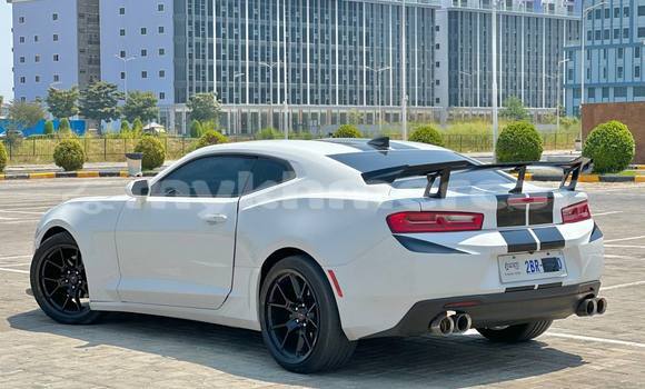 Buy Used Chevrolet Camaro White Car in Phnom Penh in Phnom Penh Buy Used Chevrolet Camaro White Car in Phnom Penh in Phnom Penh