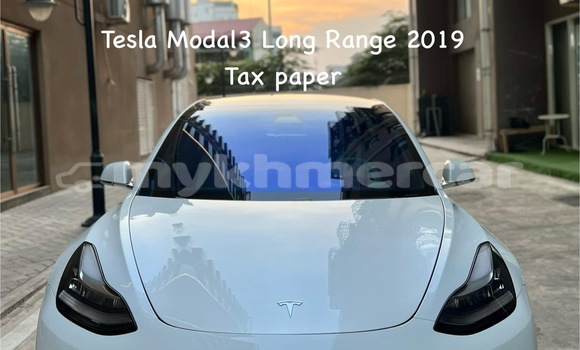 Buy Used Tesla Model 3 White Car in Phnom Penh in Phnom Penh Buy Used Tesla Model 3 White Car in Phnom Penh in Phnom Penh