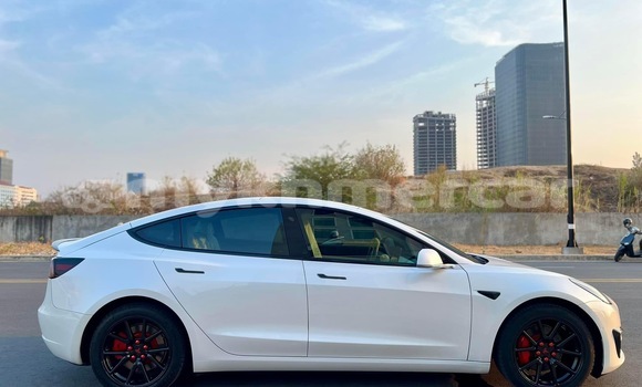 Buy Used Tesla Model 3 White Car in Phnom Penh in Phnom Penh Buy Used Tesla Model 3 White Car in Phnom Penh in Phnom Penh