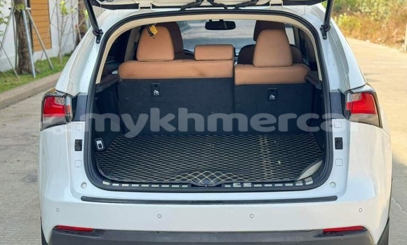 Buy Used Lexus NX White Car in Bavet in Svay Rieng Province Buy Used Lexus NX White Car in Bavet in Svay Rieng Province