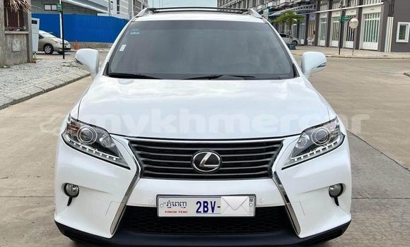 Buy Used Lexus RX 350 White Car in Bavet in Svay Rieng Province Buy Used Lexus RX 350 White Car in Bavet in Svay Rieng Province