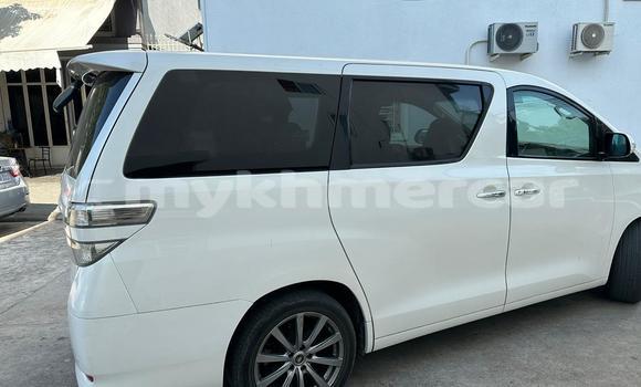 Buy Used Toyota Vellfire White Car in Phnom Penh in Phnom Penh